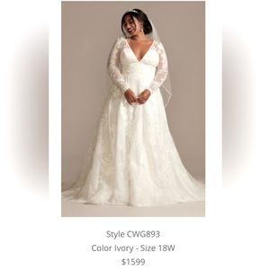 Wedding dress. Plus size from Davids Bridal. Out of stock.